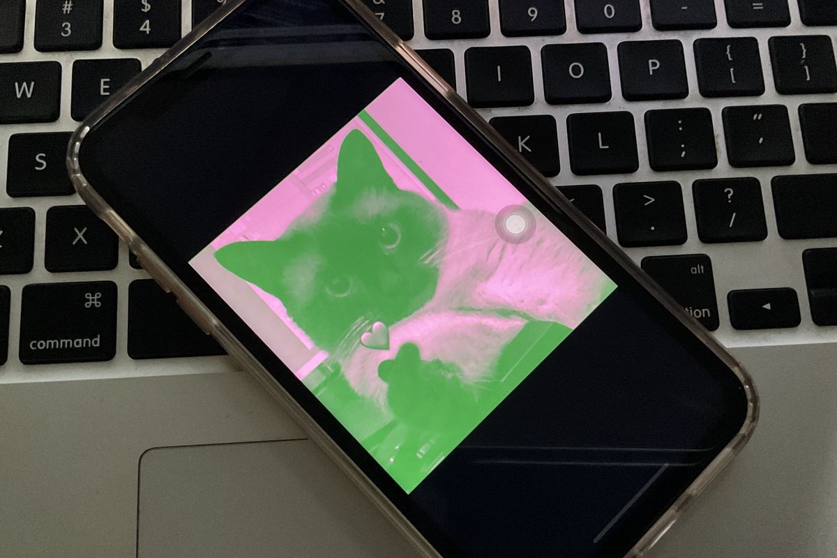 Foto Profil Pink Hijau