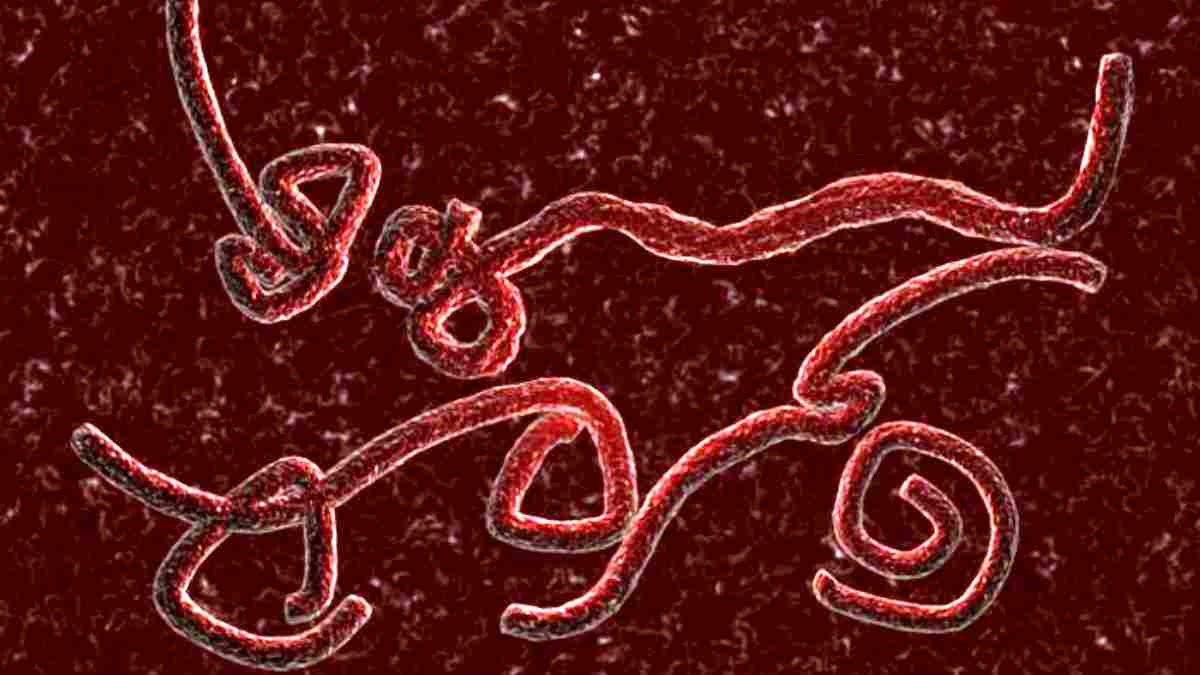 Virus Ebola