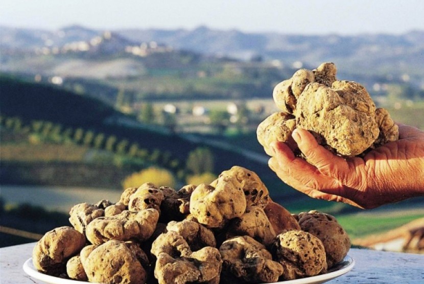 Truffle Putih
