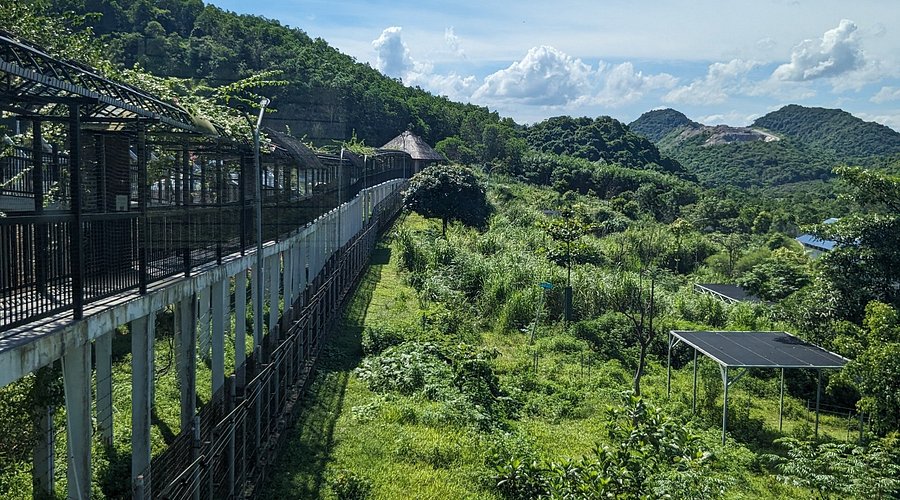 Alasan Mengapa Ninh Binh Menjadi Destinasi Favorit